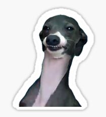 Kermit Jenna Marbles Sticker