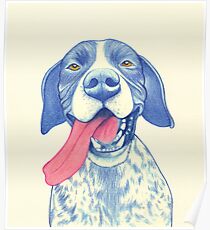 Jola #01 - German Short-Haired Pointer Poster