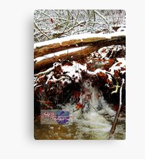 little winter waterfall Canvas Print