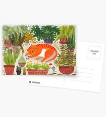 Katze im Gewächshaus Postcards