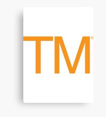Trademark Squared Canvas Print