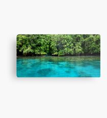 Bougainville Shoreline Metal Print