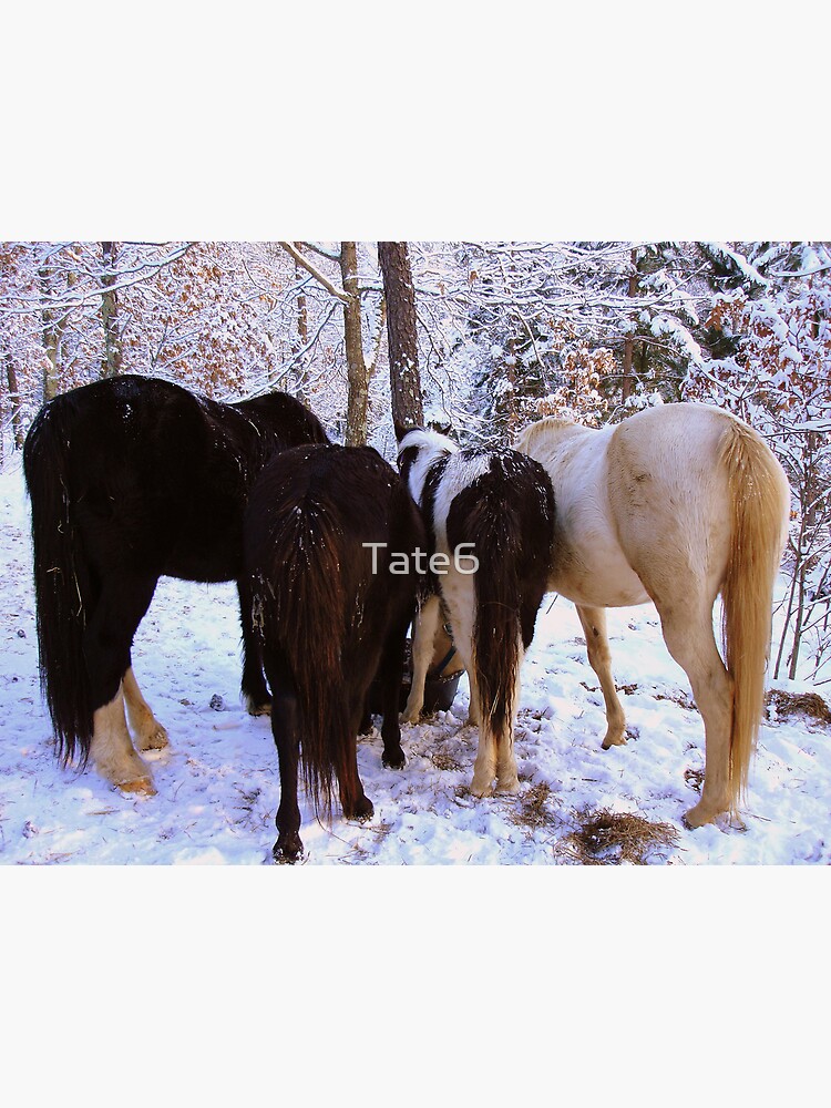 Tail End by Tate6