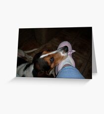 Hounddog Heaven Greeting Card