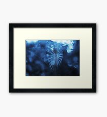 Spider Web in Blue Framed Print