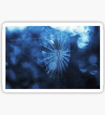 Spider Web in Blue Sticker