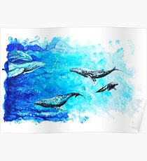 Whales Poster