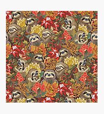 Because Sloths Autumn Photographic Print