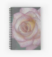 Single Pink Rose Spiral Notebook