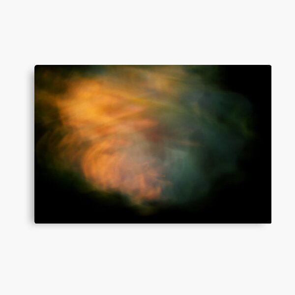 Night Winds & Roses Canvas Print