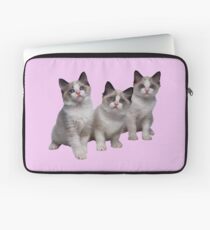 Kittens Laptop Sleeve