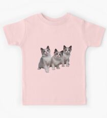 Kittens Kids Tee