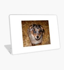 One more treat please!!! Laptop Skin