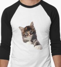 Kitten Men's Baseball ¾ T-Shirt