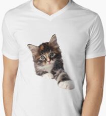 Kitten Men's V-Neck T-Shirt