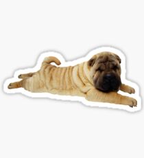 Shar Pei Sticker