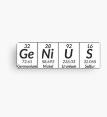 GeNiUS Canvas Print