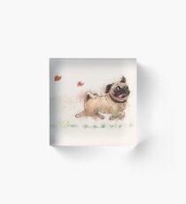 Das Furminator-Mops-Aquarelldesign in beige Farbe Acrylblock