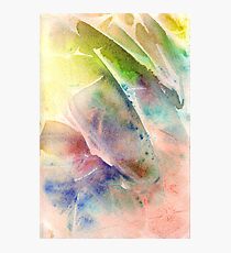 Metamorphosis Photographic Print