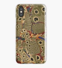 Light green bubbly marbled endpaper with red, blue and yellow iPhone Case