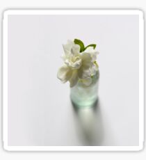 Gardenia in Aqua Bottle on White Sticker