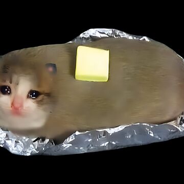 Sad sales butter cat