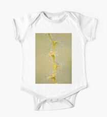 Natural Beauty One Piece - Short Sleeve