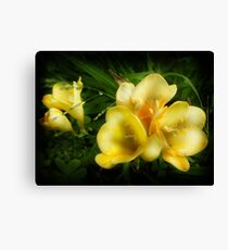 pretty sunny flower Canvas Print