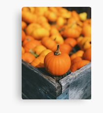 vegetal Canvas Print
