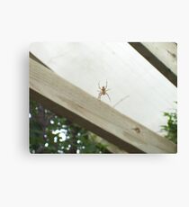 Hanging Around Canvas Print