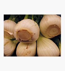 Anise Photographic Print