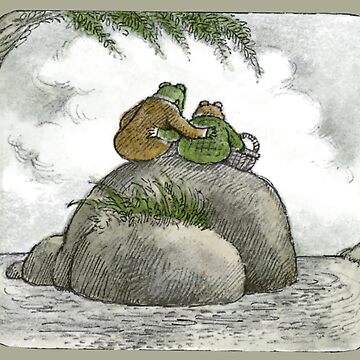 Frog And Toad Sitting On A Rock Poster for Sale by PoeTatoes