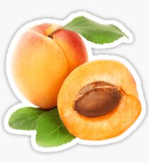 Apricot Sticker