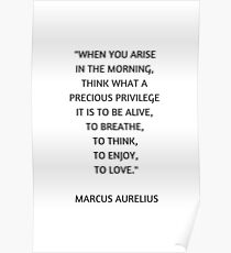 Stoic Philosophy Quote - Marcus Aurelius - What a precious privilege it is to be alive Poster