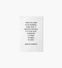 Stoic Philosophy Quote - Marcus Aurelius - What a precious privilege it is to be alive Art Board