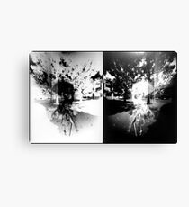 Pinhole Bones #1...doubled Canvas Print