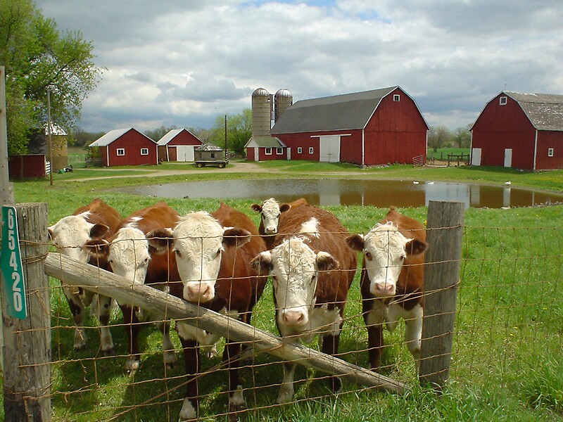 4h-farm-of-the-year-by-larry-sobczak-redbubble