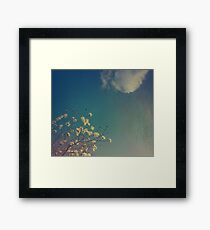 Head in the Clouds Framed Print
