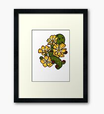 Opuntia Elata Framed Print