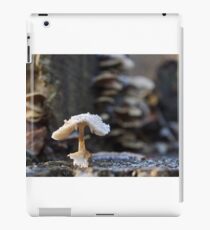 From the frog's point of view iPad Case/Skin