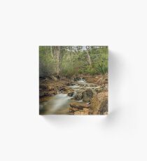 Lesmurdie Falls, Perth, Western Australia Acrylic Block