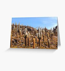 Giant Cacti, Isla los Pescados. Greeting Card