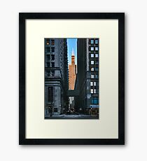 Willis Framed Print