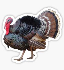Turkey Sticker
