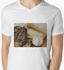 America's Pastime Men's V-Neck T-Shirt