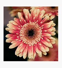 flower Photographic Print