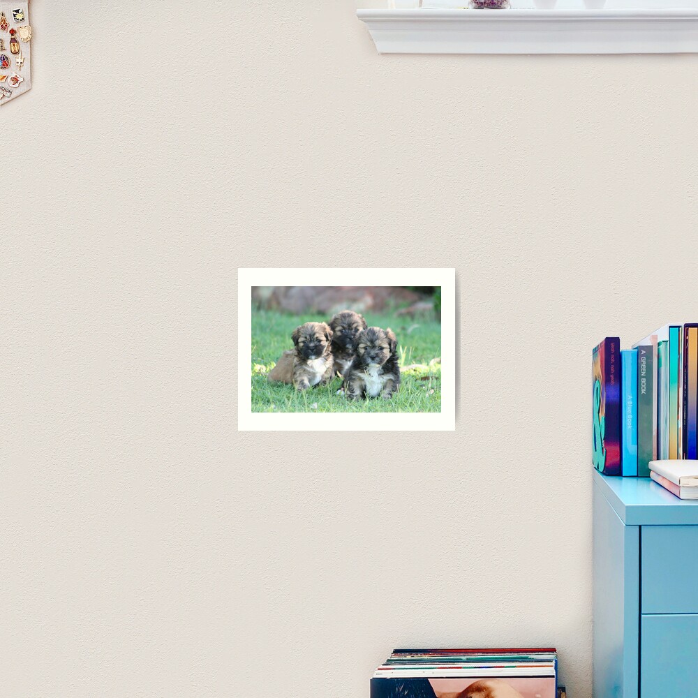 Three times cute Art Print