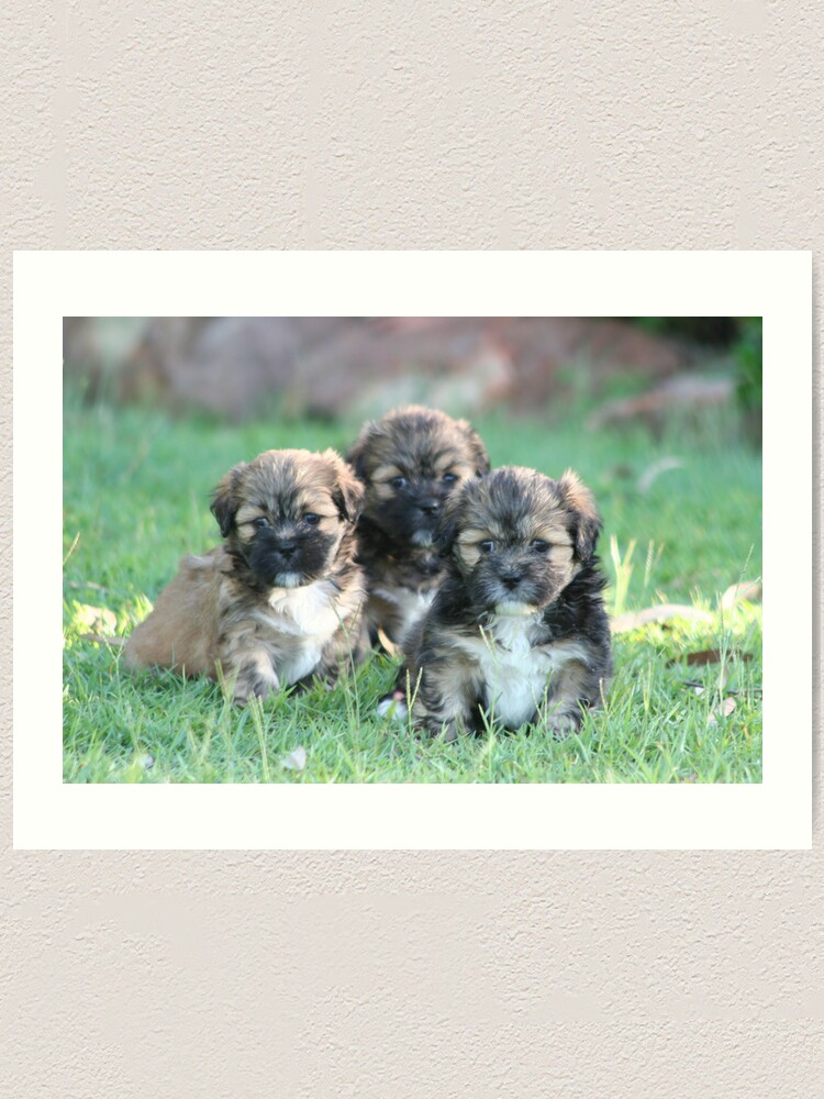 Alternate view of Three times cute Art Print