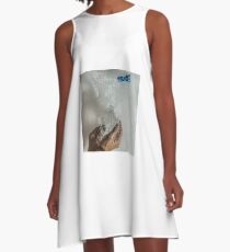 pluto, balloon, splash A-Line Dress