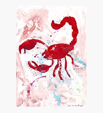 Scorpion Photographic Print
